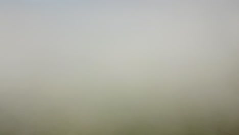 Weiße-Luftwolken-Bedecken-Das-Grüne-Reisfeld.